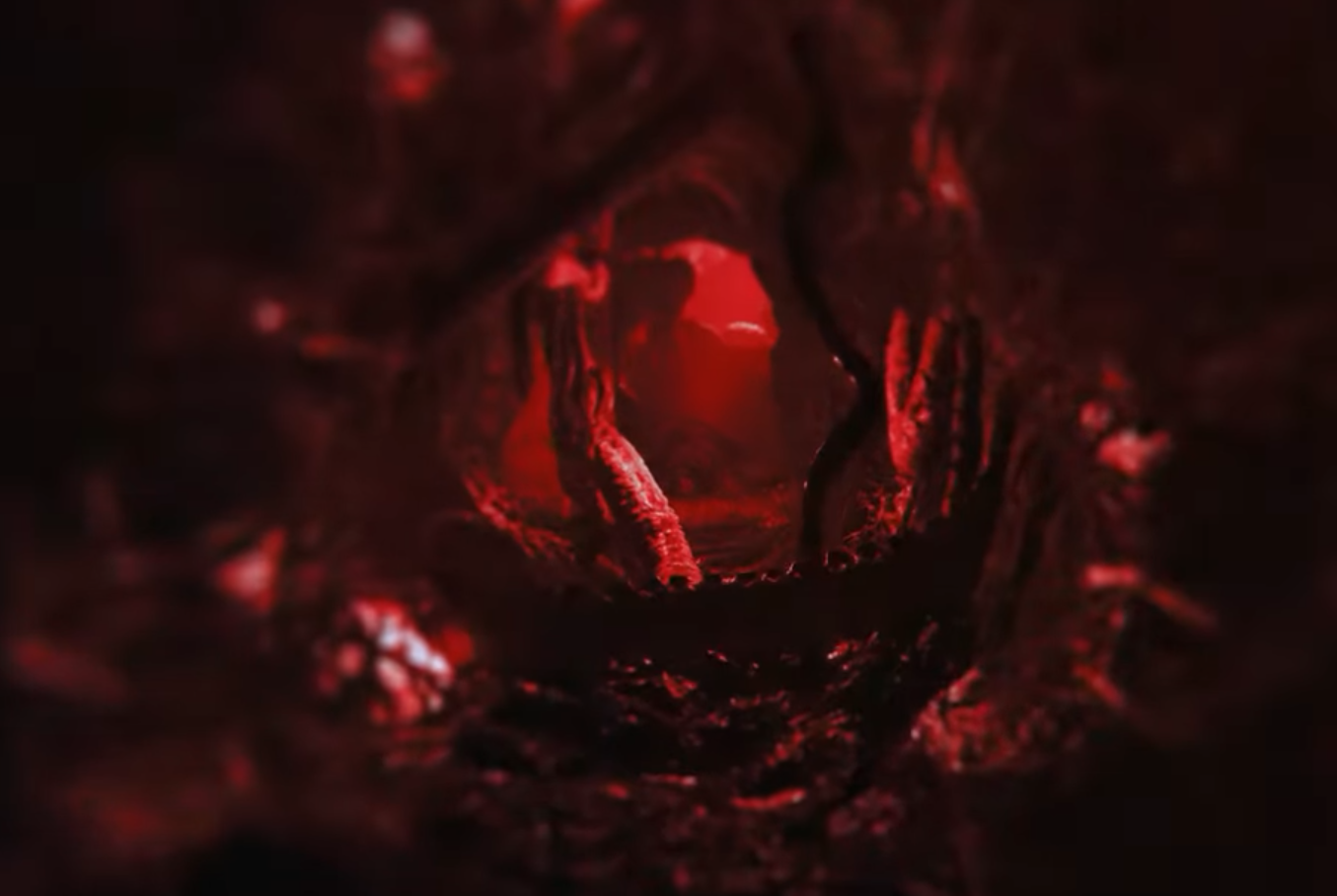 Lucid Falls: Falling into the Nightmare of Reality