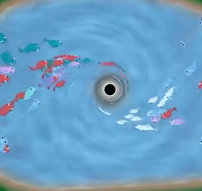 Hooked on the Singularity: A Look at ‘Black Hole Fishing’