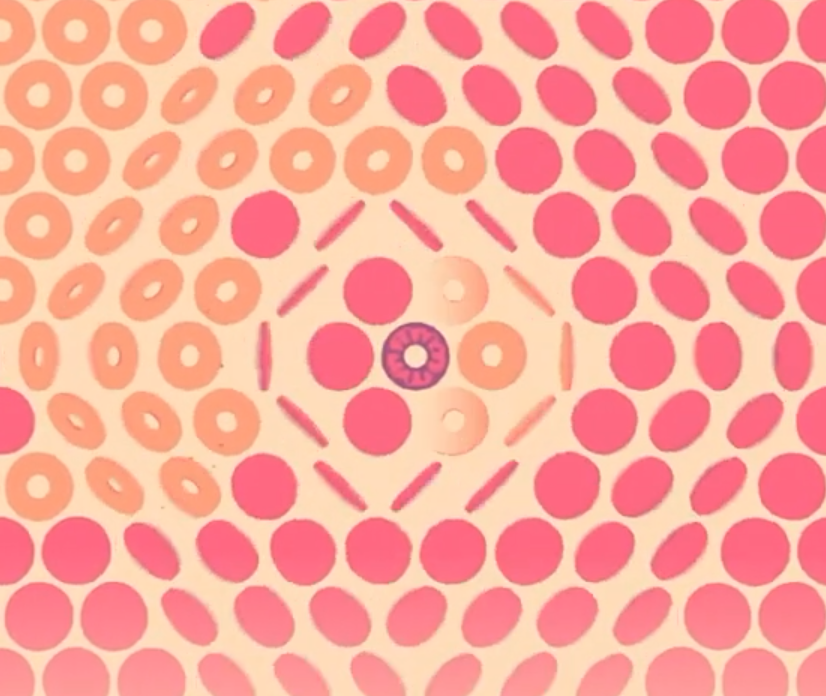 The Quiet After the Storm: Introducing What Surrounds Us