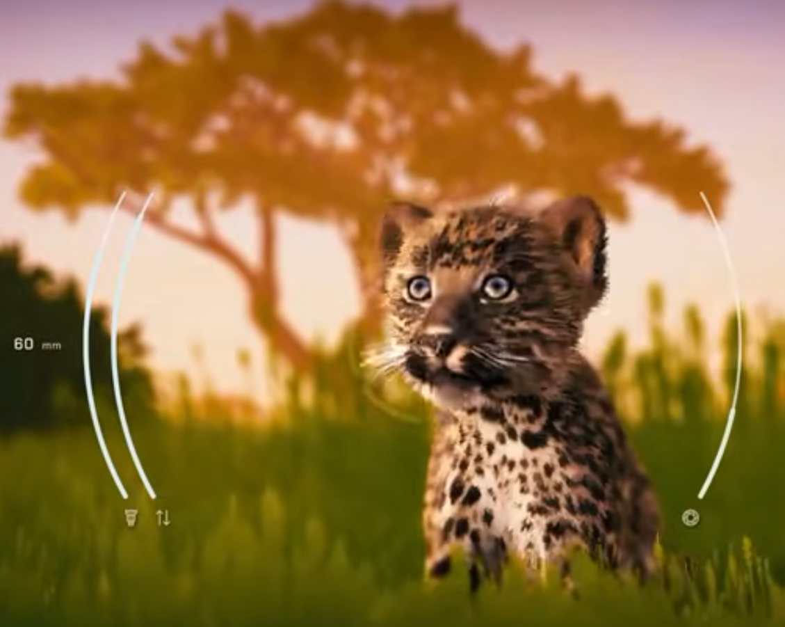 Seclusa the casual photography sim has arrived on Steam