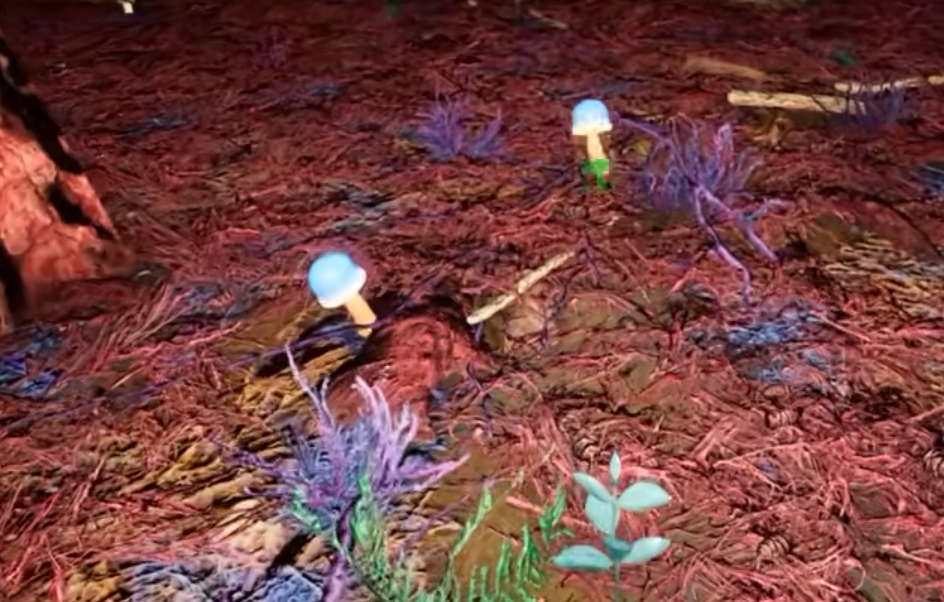 Morels: Out of This World – The Ultimate Zen Foragers Go Galactic